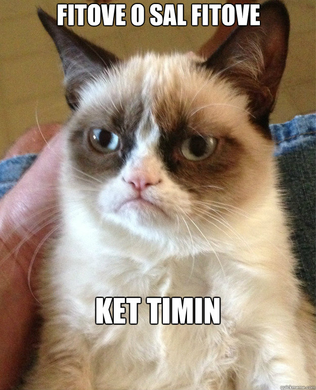fitove o sal fitove ket timin  Grump Cat