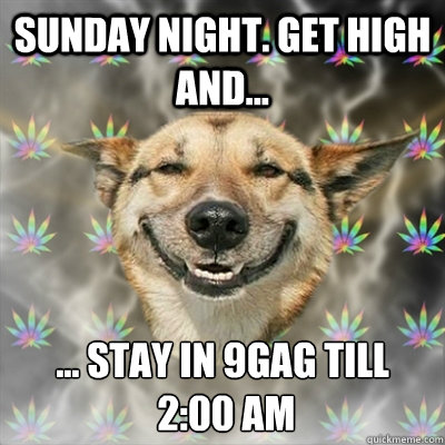 Sunday night. Get high and... ... stay in 9gag till
 2:00 am  Stoner Dog
