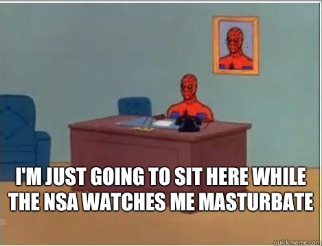  i'm just going to sit here while the NSA watches me masturbate   Spiderman Desk