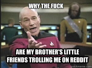 why the fuck are my brother's little friends trolling me on reddit  Annoyed Picard