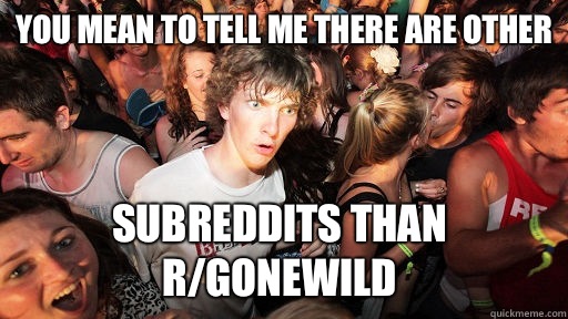 You mean to tell me there are other Subreddits than r/GoneWild  Sudden Clarity Clarence