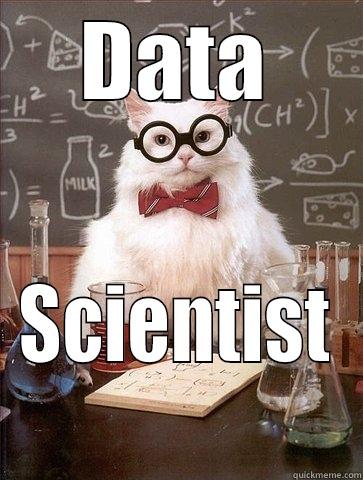 DATA SCIENTIST Chemistry Cat