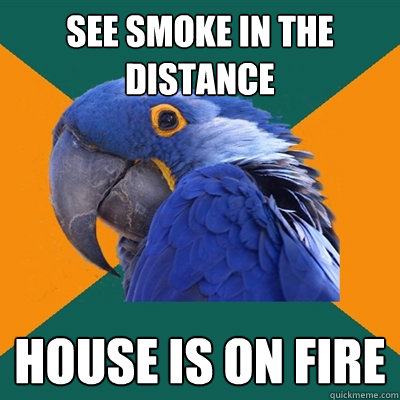 see smoke in the distance house is on fire  Paranoid Parrot