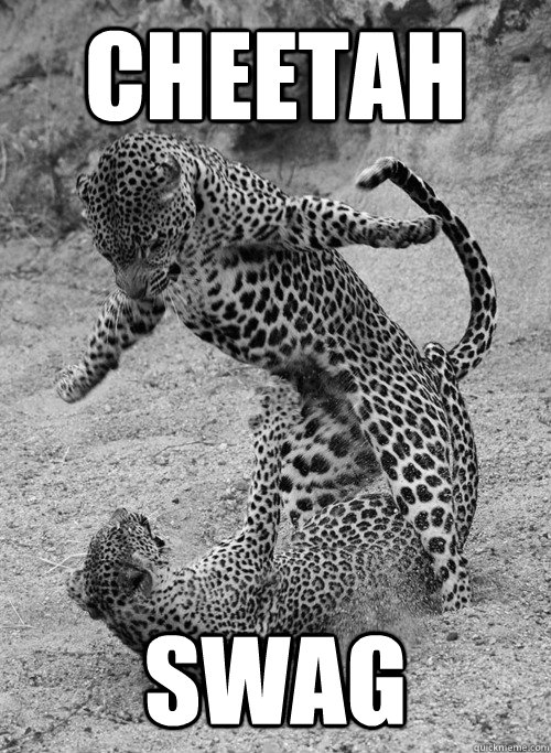 CHEETAH SWAG  CHEETAH SWAG