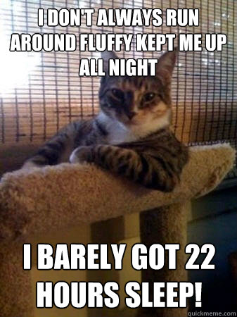 I don't always run around Fluffy kept me up all night I barely got 22 hours sleep!  The Most Interesting Cat in the World