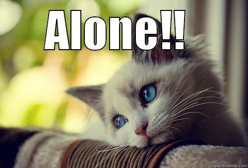 fuzzy wuzzy was a bear  - ALONE!!   First World Problems Cat