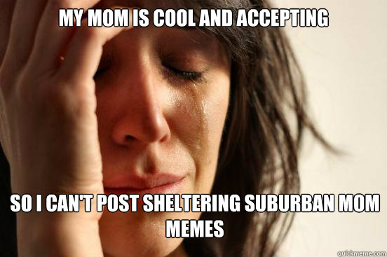 My mom is cool and accepting
 so I can't post sheltering suburban mom memes   First World Problems