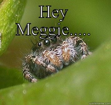 Hey Megan - HEY MEGGIE.....  Misunderstood Spider