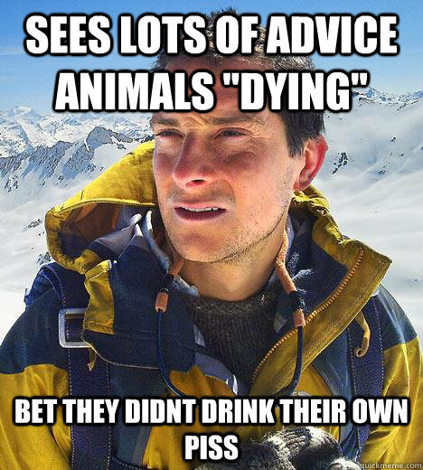 Sees lots of advice animals 