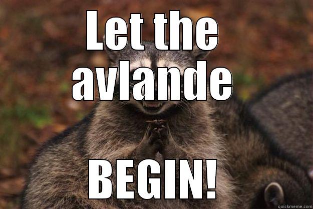 LET THE AVLANDE BEGIN! Evil Plotting Raccoon