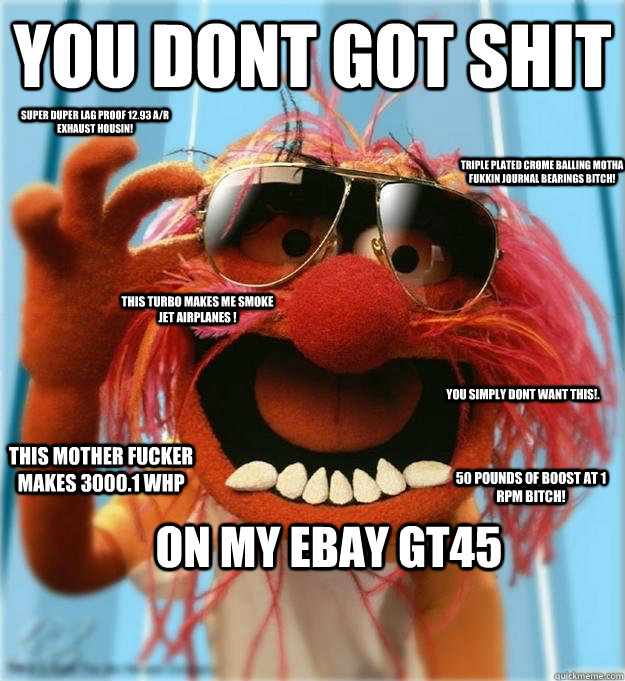 YOU DONT GOT SHIT ON MY EBAY GT45 This mother fucker makes 3000.1 WHP  50 POUNDS OF BOOST AT 1 RPM BITCH! TRIPLE PLATED CROME BALLING MOTHA FUKKIN JOURNAL BEARINGS BITCH! THIS TURBO MAKES ME SMOKE JET AIRPLANES ! SUPER DUPER LAG PROOF 12.93 A/R EXHAUST HO  Advice Animal
