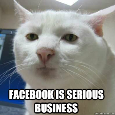  facebook is serious business -  facebook is serious business  Serious Cat