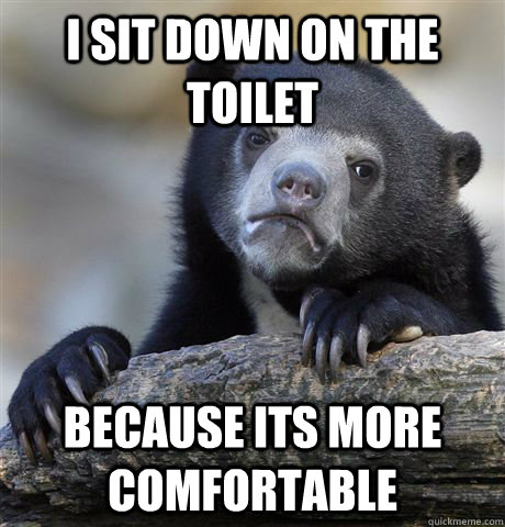 I sit down on the toilet because its more comfortable  Confession Bear