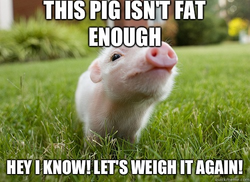 This pig isn't fat enough Hey I know! Let's weigh it again!  