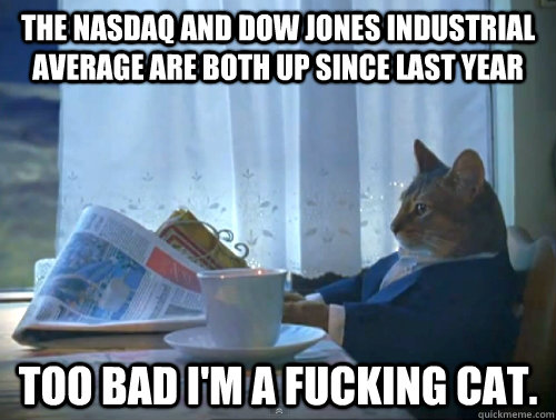 the nasdaq and dow jones industrial average are both up since last year too bad i'm a fucking cat.  The One Percent Cat