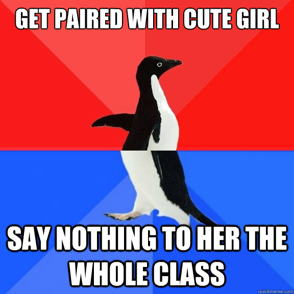 Get paired with cute girl say nothing to her the whole class  Socially Awksome Penguin