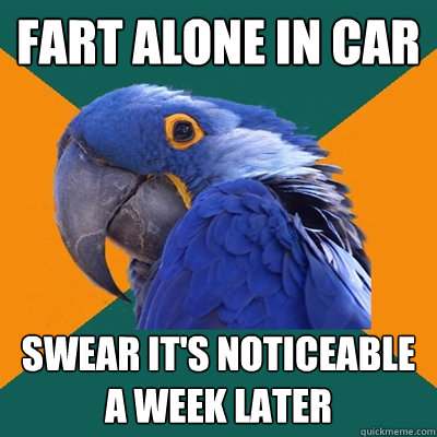 Fart alone in car Swear it's noticeable a week later  Paranoid Parrot