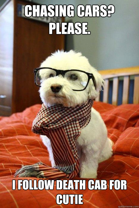CHASING CARS? PLEASE. I FOLLOW DEATH CAB FOR CUTIE  Hipster Dog