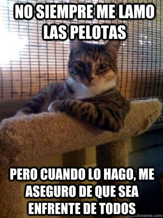 no siempre me lamo las pelotas pero cuando lo hago, me aseguro de que sea enfrente de todos  The Most Interesting Cat in the World