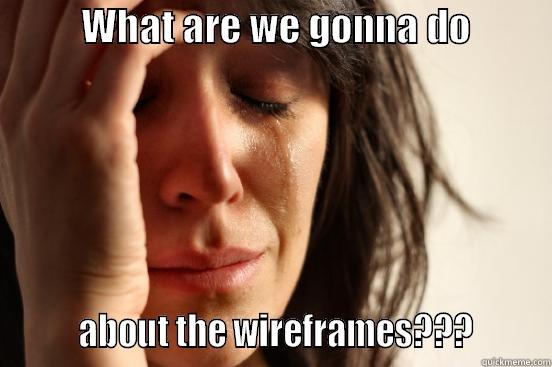           WHAT ARE WE GONNA DO                   ABOUT THE WIREFRAMES???        First World Problems