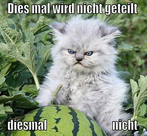 german kitty nein - DIES MAL WIRD NICHT GETEILT DIESMAL                               NICHT German Kitty