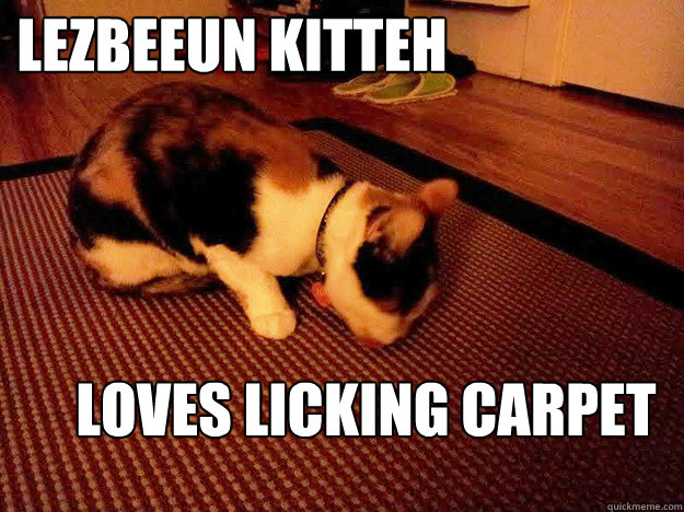 LEZBEEUN KITTEH LOVES LICKING CARPET - LEZBEEUN KITTEH LOVES LICKING CARPET  Lesbian Kitty
