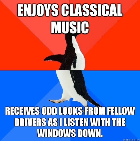 Enjoys classical music Receives odd looks from fellow drivers as I listen with the windows down.  Socially Awesome Awkward Penguin