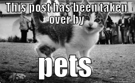 THIS POST HAS BEEN TAKEN OVER BY PETS Misc