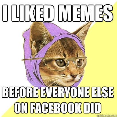 i liked memes before everyone else on facebook did  Hipster Kitty