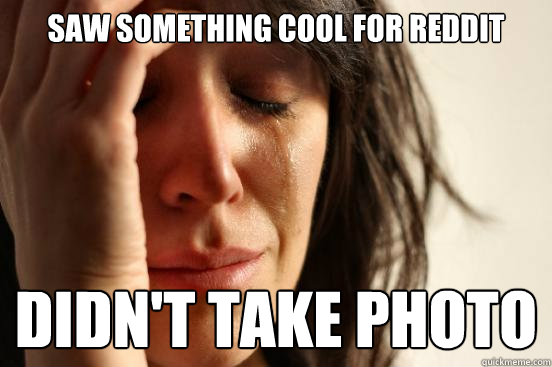 Saw something cool for reddit didn't take photo  First World Problems