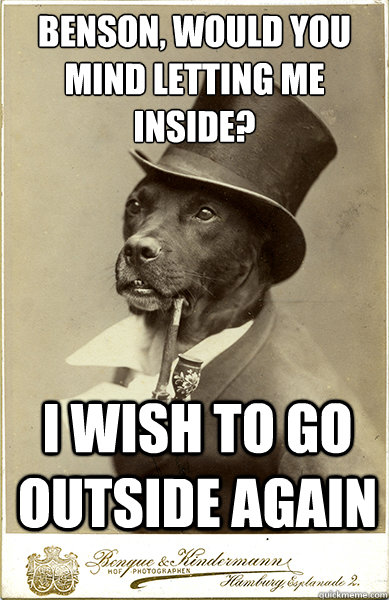 benson, would you mind letting me inside?
 I wish to go outside again - benson, would you mind letting me inside?
 I wish to go outside again  Old Money Dog