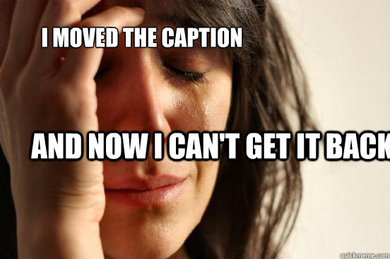 I moved the caption and now i can't get it back.  First World Problems