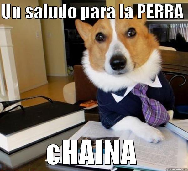 UN SALUDO PARA LA PERRA  CHAINA Lawyer Dog