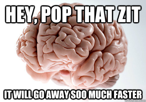 hey, pop that zit it will go away soo much faster - hey, pop that zit it will go away soo much faster  Scumbag Brain