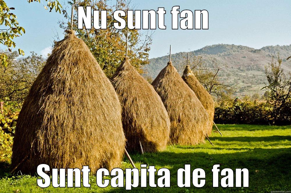 NU SUNT FAN SUNT CAPITA DE FAN Misc