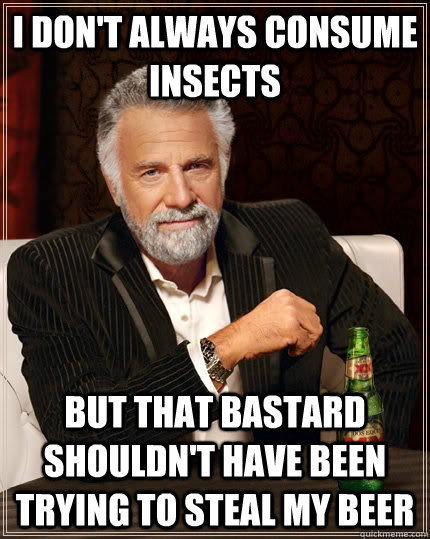 I don't always consume insects but that bastard shouldn't have been trying to steal my beer - I don't always consume insects but that bastard shouldn't have been trying to steal my beer  The Most Interesting Man In The World