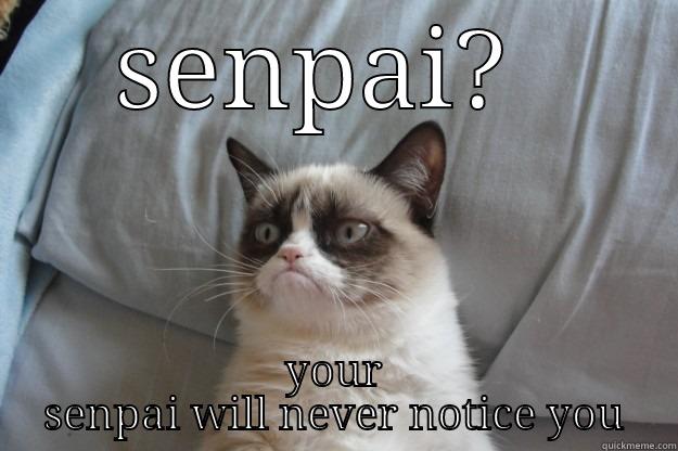 SENPAI?  YOUR SENPAI WILL NEVER NOTICE YOU Grumpy Cat