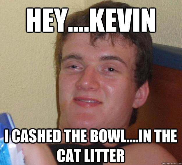 Hey....Kevin i cashed the bowl....In the cat litter  - Hey....Kevin i cashed the bowl....In the cat litter   10 Guy