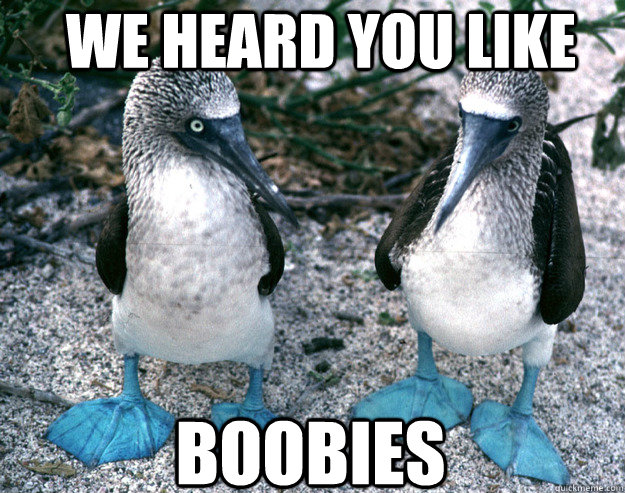 We heard you like Boobies.
