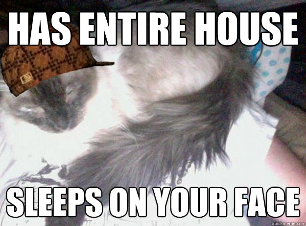 has entire house sleeps on your face  