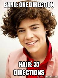 Band: One Direction Hair: 37 directions - Band: One Direction Hair: 37 directions  HarryStyles