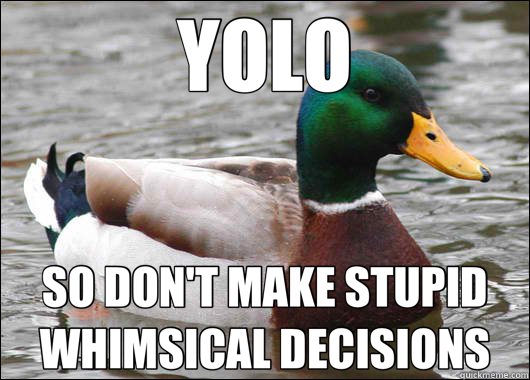 YOLO SO DON'T MAKE STUPID WHIMSICAL DECISIONS - YOLO SO DON'T MAKE STUPID WHIMSICAL DECISIONS  Actual Advice Mallard