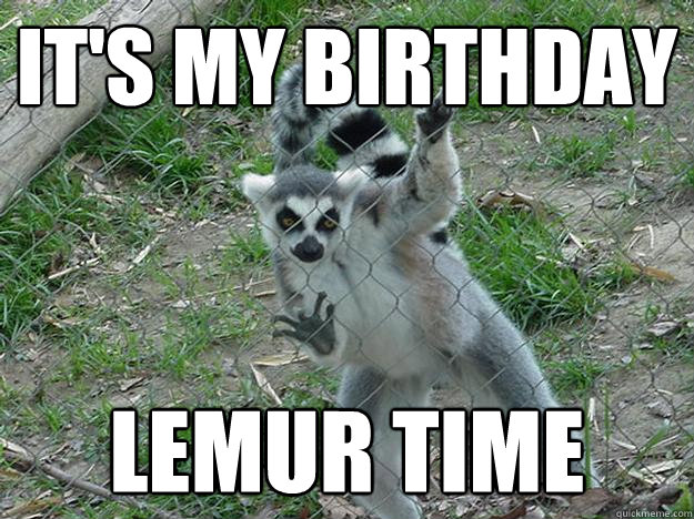 It's my birthday Lemur time  