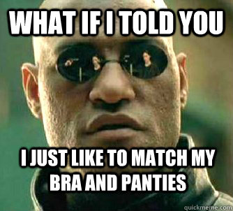 What if i told you I just like to match my bra and panties  WhatIfIToldYouBing
