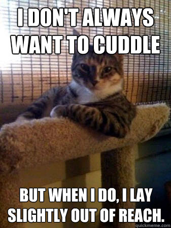 I don't always want to cuddle but when I do, I lay slightly out of reach.  The Most Interesting Cat in the World