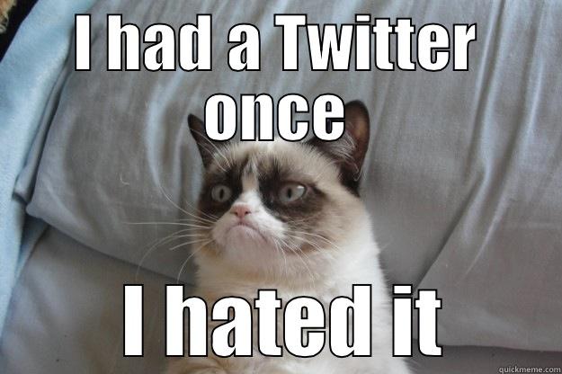 I HAD A TWITTER ONCE  I HATED IT Grumpy Cat