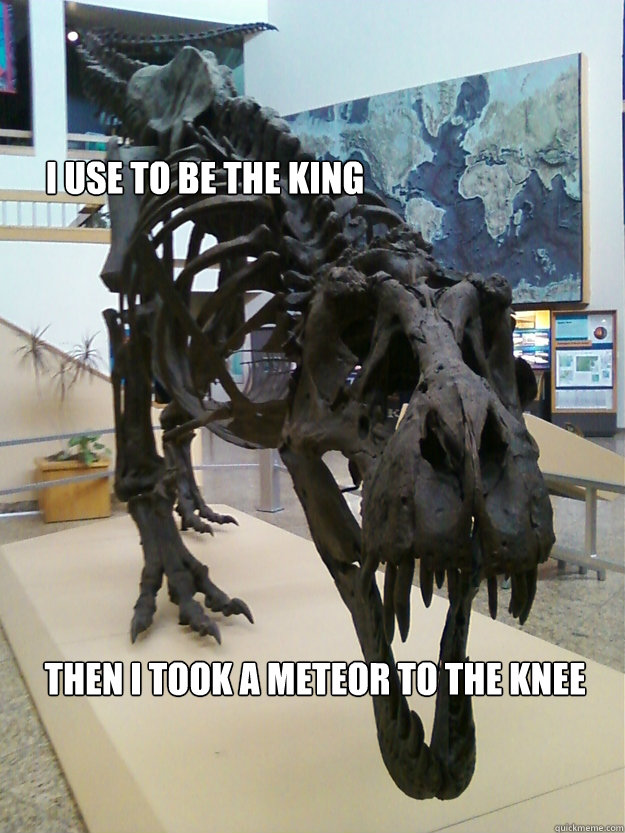 I use to be the king then i took a meteor to the knee - I use to be the king then i took a meteor to the knee  dino bones