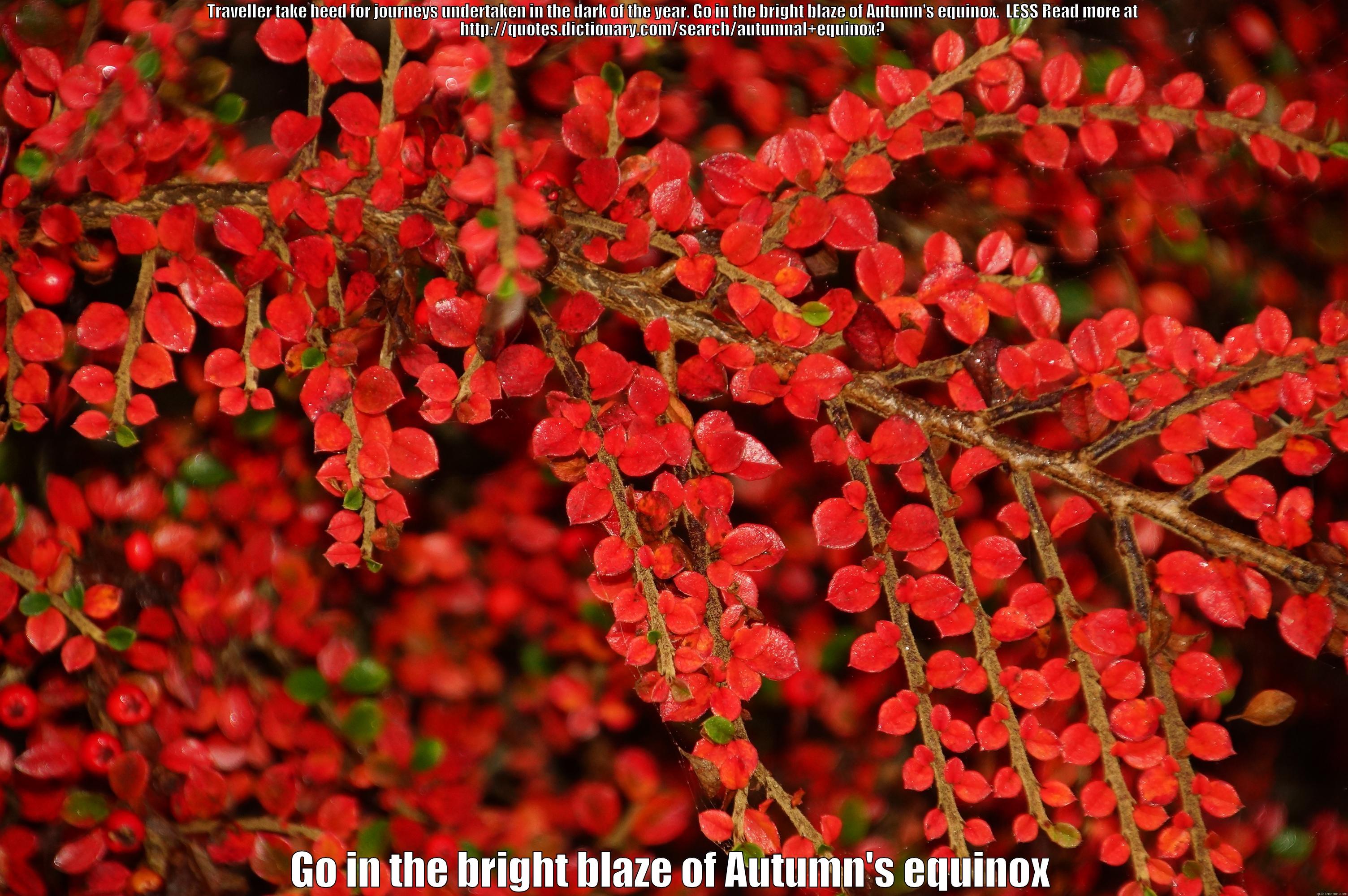 TRAVELLER TAKE HEED FOR JOURNEYS UNDERTAKEN IN THE DARK OF THE YEAR. GO IN THE BRIGHT BLAZE OF AUTUMN'S EQUINOX.  LESS READ MORE AT HTTP://QUOTES.DICTIONARY.COM/SEARCH/AUTUMNAL+EQUINOX? GO IN THE BRIGHT BLAZE OF AUTUMN'S EQUINOX Misc
