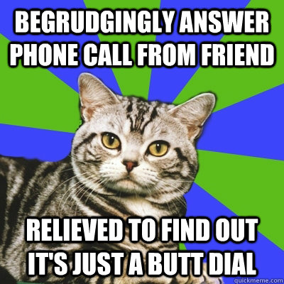 Begrudgingly answer phone call from friend relieved to find out it's just a butt dial  Introvert Cat