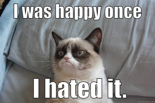     I WAS HAPPY ONCE          I HATED IT.    Grumpy Cat